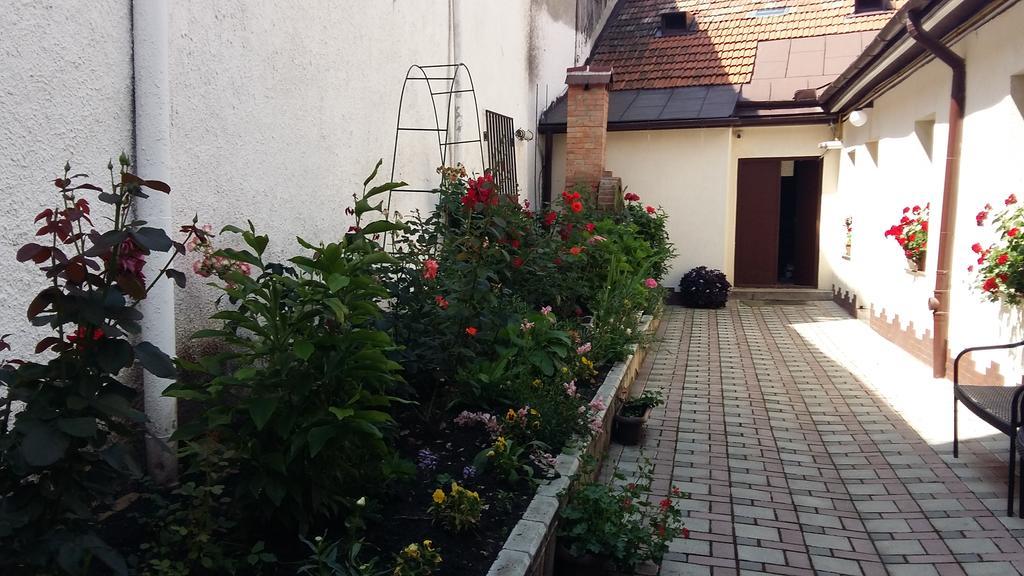 Casa Graef Lägenhet Braşov Exteriör bild