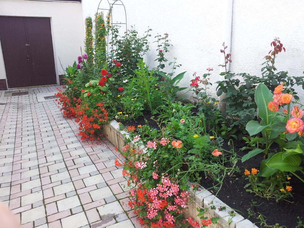 Casa Graef Lägenhet Braşov Exteriör bild