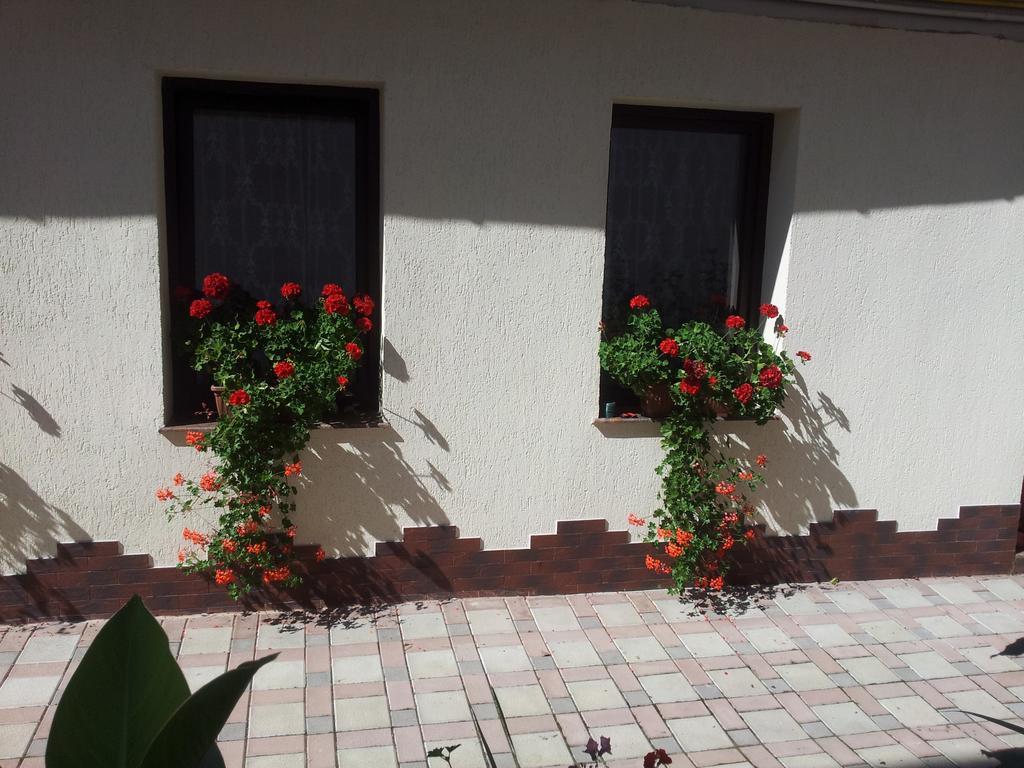 Casa Graef Lägenhet Braşov Exteriör bild